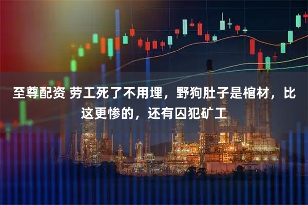 至尊配资 劳工死了不用埋，野狗肚子是棺材，比这更惨的，还有囚犯矿工