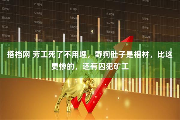 搭档网 劳工死了不用埋，野狗肚子是棺材，比这更惨的，还有囚犯矿工